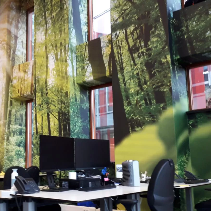 Wandvisual bomen op kantoor - signing en reclame