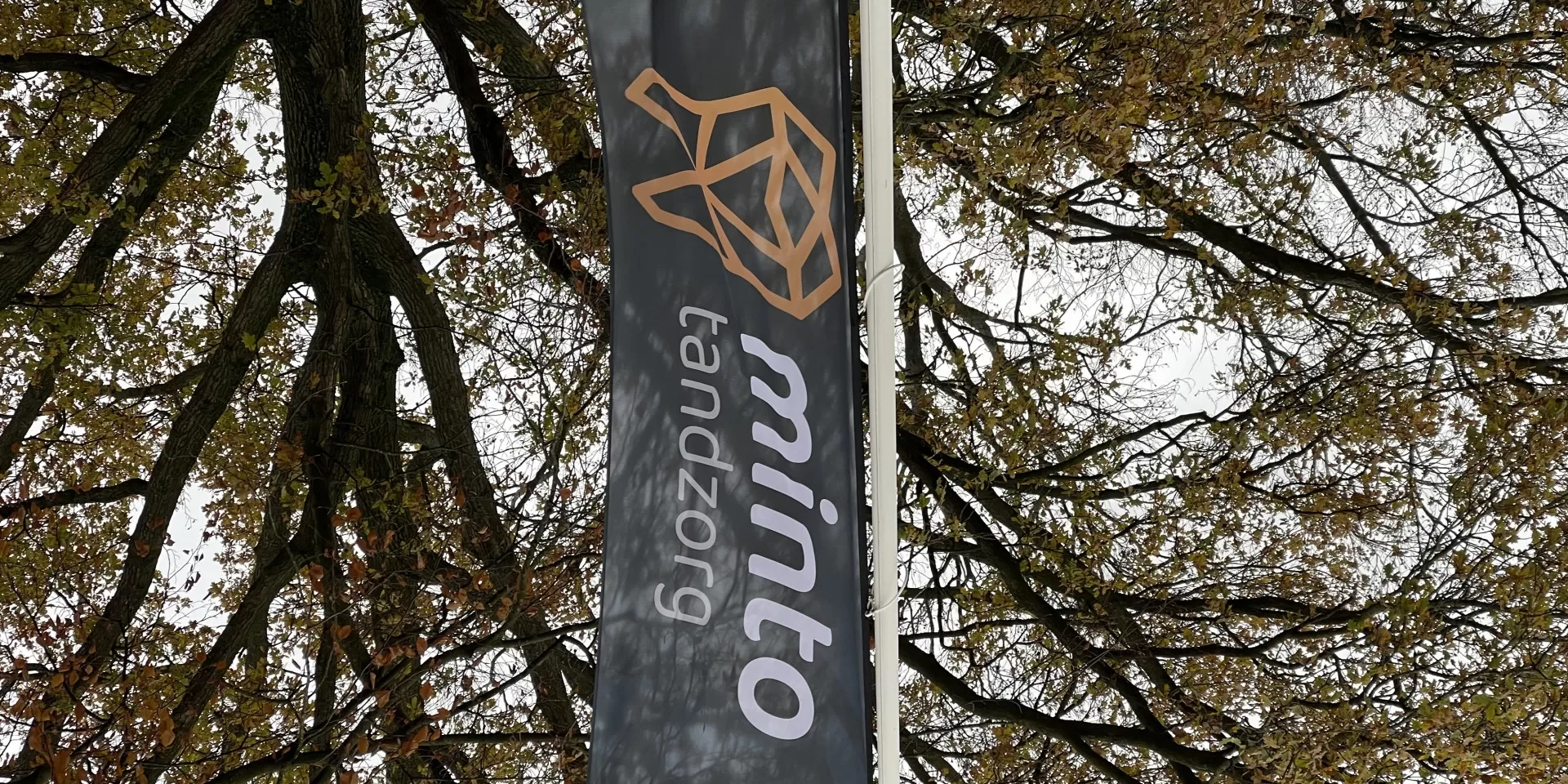 Bedrukte vlag van Minto Tandzorg